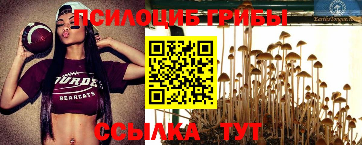 Псков  Псилоцибиновые грибы мухоморы  Вход с VPN  Галлюциногенные грибы GOLDEN TEACHER 