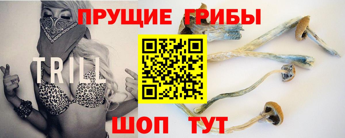 Галлюциногенные грибы мицелий Псков